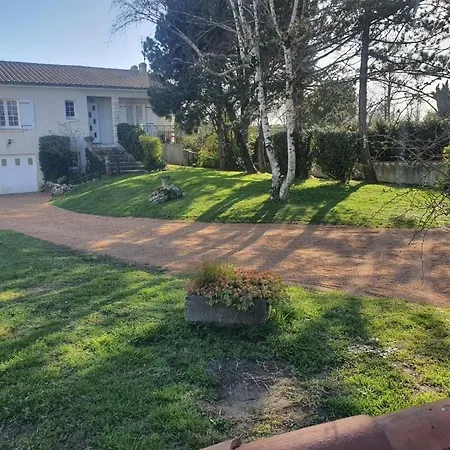 Des Pins Avec * Cozes